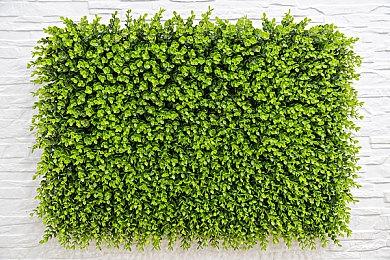 大阪大学发布研究报告 分析Switch 2美日不同销售策略